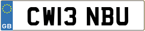 Trailer License Plate